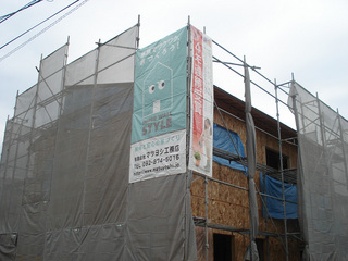 DSC03571.jpg
